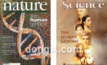 과학 학술지의 양대 산맥인 ‘네이처’(왼쪽)와 ‘사이언스’는 각각 2001년 2월 15일과 16일 인간의 전체 DNA 염기서열을 해독한 연구결과를 표지 논문으로 소개했다. 사진 제공 네이처·사이언스