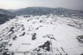최근 강원 동해안 지역에 내린 기록적인 폭설로 13일 농경지에 눈이 쌓여 있다. 연합뉴스