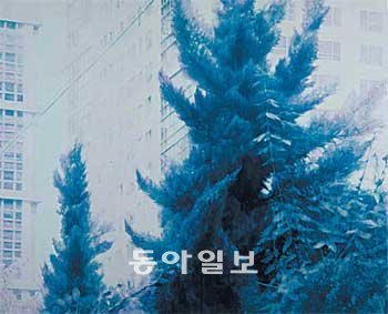 푸른 색조로 시간의 틈새를 파고드는
화가 신수혁 씨의 ‘오피스텔 #3’.
아트사이드갤러리 제공