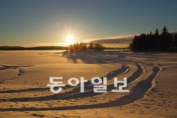 눈이 쌓인 아이스 서킷 전경