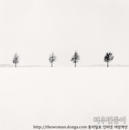 ▲ urosawa-s-Trees,-Study-1,-Memanbetsu,-Hokkaido,-Japan,-2004