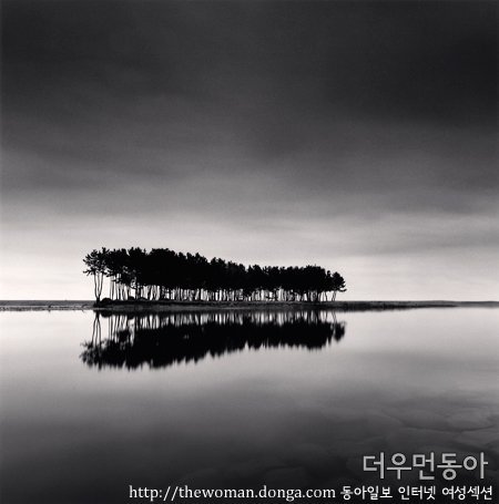 ▲ Pine-Trees,-Study-1,-Wolcheon,-Gangwando,-South-Korea,-2007