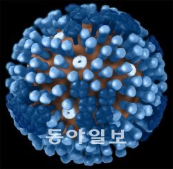 신종인플루엔자A(H1N1) 지난해 8월까지 국내에서만 76만여명이 신종플루에 감염됐고 270명이 사망했다. 적극적 대응으로 잠잠해졌지만 ‘변종 신종플루’가 나타나면 피해가 2009년 대유행 당시보다 클 것으로 전문가들은 보고 있다. 동아일보 DB