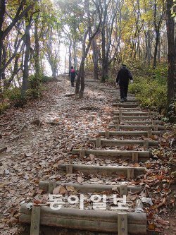올겨울 구제역과 한파로 이용이 어려웠던 수도권 주요 걷기 코스들이 봄을 앞두고 손님 맞이 준비에 한창이다. 지난해 조성된 과천 숲길. 과천시 제공