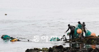 제주 해녀들이 봄을 맞아 해조류인 톳을 채취하기 위해 바다로 나가고 있다.임재영 기자 jy788@donga.com