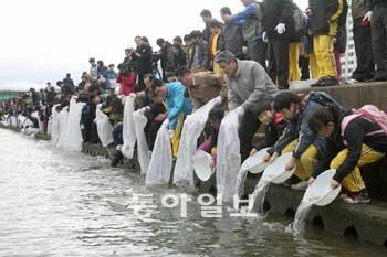 경북 포항시민들이 지난해 3월 형산강변에서 새끼 연어를 바다로 보내고 있다. 포항시 제공