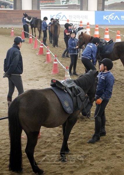유소년 승마가 어린이의 균형적 신체발달과 정서순화에 효과가 뛰어난 것으로 입증되면서 지원사업이 활성화 되고 있다. 사진은 한국 마사회에서 운영 중인 ‘KRA 유소년 승마클럽’에서 강습을 받고 있는 학생들.