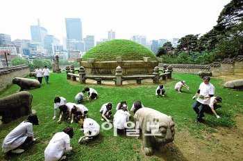 신한금융그룹 직원들이 지난해 서울 강남구 선릉에서 문화재 보호활동을 펼쳤다. 신한금융그룹 제공
