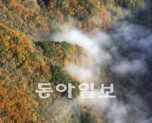 전영한 기자 scoopjyh@donga.com