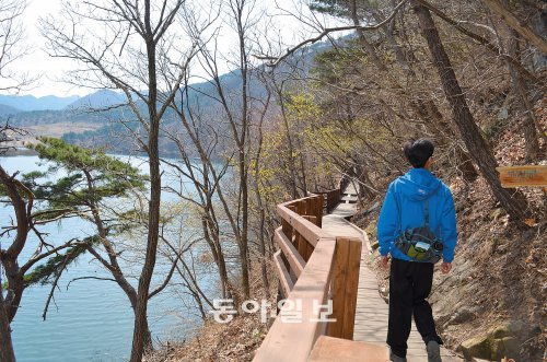 산막이옛길은 내내 호수를 끼고 걷는다. 강바람과 산바람이 조화를 이뤄 마음까지 시원하게 만들어 준다. 장기우 기자 straw825@donga.com