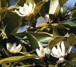 임재영 기자 jy788@donga.com