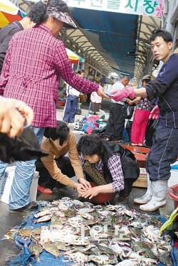 충남 서해안은 요즘 꽃게철이다. 10일 보령시 보령항에는 싱싱한 꽃게를 찾는 관광객들의 발길이 끊이지 않았다. 이기진 기자 doyoce@donga.com