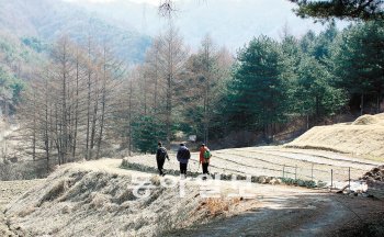 강원 춘천시 증리의 실레이야기길은 김유정의 소설 속 이야기를 다룬 16개의 구간으로 이뤄졌다. 완만한 경사길을 따라 걷다보면 김유정의 문학세계에 빠져든다. 이인모 기자 imlee@donga.com