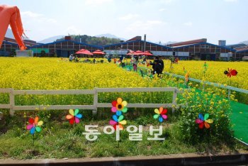 23일 S&T중공업이 마련한 유채꽃 나들이 행사에 참석한 사원과 가족들이 즐거운 시간을 보내고 있다. 강정훈 기자 manman@donga.com