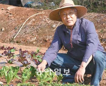 윤문석 VM웨어 한국지사장이 24일 경기 고양시 덕양구 용두동에 있는 자신의 주말농장에 심은 상추를 돌보고 있다. 윤 지사장은 “일주일만 파종을 늦춰도 생육시기를 놓치는 주말농장에서 채소를 키우다보니 기업을 경영할 때 적절한 타이밍의 중요성도 자연스럽게 익히게 됐다”고 말했다. VM웨어 제공