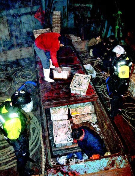 “꼼짝마” 서해 불법조업 中어선 단속현장 7일 오후 인천해경 3005함 단속대원들이 인천 옹진군 대청도 남서쪽에서 우리 해역을 침범한 중국 어선을 세운 뒤 불법으로 잡은 어획물을 확인하고 있다. 이날 나포된 중국 어선 랴오후위(遼葫漁) 35556호에는 까나리와 조기 등 8t이 넘는 수산물이 실려 있었다. 대청도 3005함=변영욱 기자 cut@donga.com