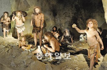 네안데르탈인은 중위도 지역의 동굴에서만 살았다. 이들이 현생인류와 만났는지는 여전히 미스터리다. 사진은 크로아티아 크라피나 박물관에 전시된 동굴 생활 모습. 아틀리에 덴 제공