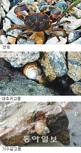 서남해환경센터 제공