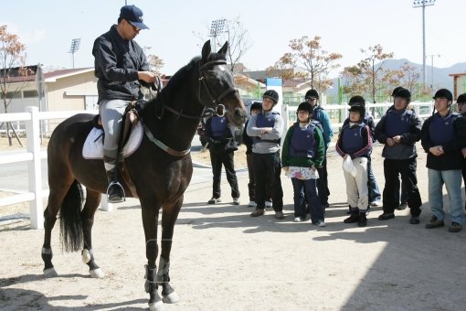 한국마사회가 승마교관 인력을 양성하기 위해 7월 승마지도사 자격시험을 시행한다. 사진은 승마교관이 일반인을 대상으로 강습을 하고 있는 모습.