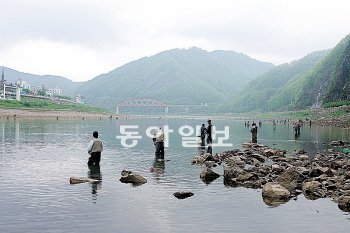 제5회 단양군수배 전국 쏘가리 낚시대회가 11, 12일 단양군 남한강 일원에서 열린다. 단양군 제공