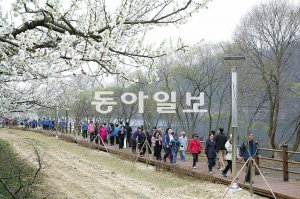 지난해 7월 열린 로하스축제에서 시민들이 대청호 주변의 목조 데크를 걷고 있다. 대덕구 제공