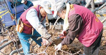 인천시노인인력개발센터는 노인 바리스타, 다문화가정 지도, 노노 케어, 화환 재활용 등 다양한 노인 일자리 사업을 벌이고 있다. 부평가족공원에서 노인들이 정원관리로 활동하고 있다. 인천시노인인력개발센터 제공