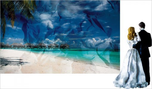 최근 해외여행객을 대상으로 한 여행사의 사기사건이 빈번하지만, 마땅한 대책이 없어 피해가 늘고 있다.