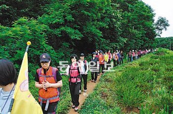 경기 부천지역 근로자면 누구나 참여할 수 있는 행복한 걷기여행 프로그램이 인기다. 근로자들이 지난달 25일 경기 고양시 아마존길을 걷고 있다. 테크노파크 교육문화센터 제공