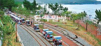 달려라 레일바이크 강원 삼척시 근덕면의 해양레일바이크가 개장 1년도 안 돼 이용객 40만 명을 넘어서는 등 큰 인기를 누리고 있다. 삼척시 제공