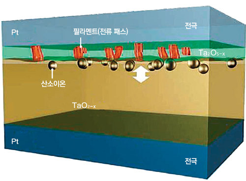 산화탄탈륨 2중층 구조의 R램 저항체. 산소 함량이 다른 산화탄탈륨의 2중층으로 전류를 흘려 R램의 내구성을 확보했다. 삼성전자 제공