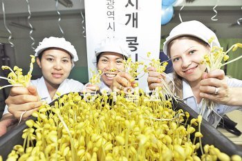 대구 남구다문화가족지원센터는 8월부터 결혼이주여성들이 참여하는 마을기업(무지개 콩시루 공동체)를 운영한다. 남구청 제공