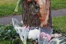 뉴질랜드 동부 오클랜드 마라에타이 드라이브지역에서 폴 존스(18)가 지인이 운전하는 차를 타고 가던 중 도로변 나무를 들이받는 사고로 숨졌다. 사진=뉴질랜드 헤럴드