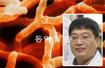 홍영수 연구원은 방선균에서 나온 젤다나마이신 성분을 가공해 독성이 없는 항암제를 개발하는 데 성공했다. 한국생명공학연구원 제공