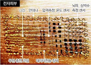 미국 일리노이공대 제공