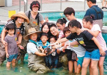 경기도민물고기연구소 양식체험 프로그램에 참여한 관람객들이 야외 수조에서 철갑상어를 직접 만져보고 있다. 경기도민물고기연구소 제공