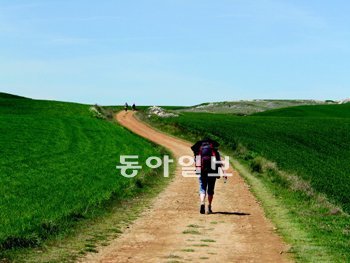 ‘사도 야고보의 길’은 우리나라에 산티아고 순례길로 알려져 있다. 산티아고는 성 야고보의 스페인식 이름. 파울루 코엘류는 40대의 어느 날 허무감에 빠져 산티아고 길을 걸었고, 순례가 끝난 후 소설가가 되기로 결심했다. 그의 첫 소설이 바로 ‘순례자’다. 예전에 산티아고 길을 걸었던 순례자들은 자신의 발걸음에 맞춰 숨을 쉬고 기도문을 암송했다고 한다. 김희경 작가 제공