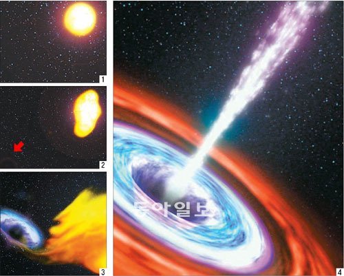 ① 정상형태의 별이 거대질량 블랙홀 근처로 다가간다.② 거대질량 블랙홀 근처로 접근한 별은 블랙홀이 잡아당기는 강한 중력 때문에 찢어지듯 파괴된다(빨간 화살표 부근이 블랙홀). ③ 별을 이루던 잔해(가스) 일부가 블랙홀로 빨려 들어가며 원반 모양(강착원반)을 만든다. 빨려 들어가지 않은 잔해는 우주에 흩어진다. ④ 강착원반은 블랙홀 주변에 강력한 자기장을 만들고 자기장에 의해 가스, 플라스마 입자, 다양한 파장의 광선다발이 밖으로 분출되는 것을 보여주는 상상도. 미국항공우주국(NASA) 제공