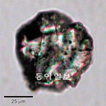 이토카와에서 채취한 흙먼지 하나를 광학현미경으로 들여다본 모습. 투명한 입자 중간중간에 검은색 얼룩이 있다. 연구진은 이 얼룩이 태양풍 때문에 생긴 것으로 추정한다. 사이언스 제공