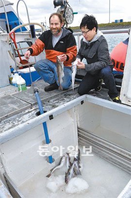 김석 이마트 수산물 바이어(오른쪽)가 알래스카 호머 항 앞바다에서 조업 중인 어선에
올라 갓 잡은 명태를 살펴보고 있다. 알래스카=서경완 기자 dmz@donga.com