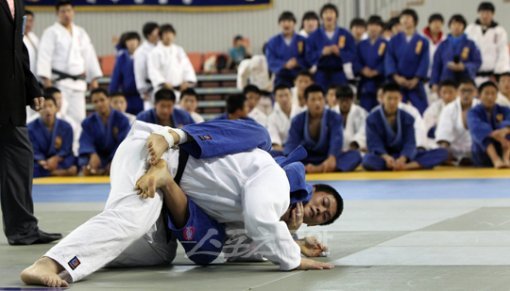 김천｜임진환 기자 photolim@donga.com 트위터@binyfafa