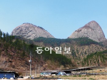 전북 진안군 진안고원에 자리한 마이산 마이봉의 모습. 봉긋 솟아오른 두 봉우리 중 왼쪽이 암마이봉, 오른쪽이 숫마이봉이다.