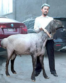 사진 출처=텔레그래프 홈페이지