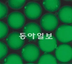 아모레퍼시픽에서 개발한 특수 고분자로 만든 마이크로 공의 현미경 사진(실제는 머리카락 굵기 크기). 미국화학회지(JACS) 제공
