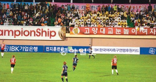 23경기 5만6200명… 주민 3만5000명 보은군의 女축구 사랑 고양 대교와 인천 현대제철의 WK리그
 챔피언결정 2차전이 열린 29일 보은종합운동장이 4500명의 관중으로 가득 찼다. 보은군은 연고 팀은 없지만 여자축구의 열기가 
가장 뜨거운 곳이다. 보은=양종구 기자 yjongk@donga.com