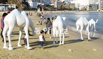 부산비엔날레의 꽃으로 불리는 부산바다미술제가 1일부터 21일까지 송도해수욕장에서 열리고 있다. 올해부터 부산비엔날레에서 독립해 단독으로 열리는 부산바다미술제는 총12개국 29점(공모작품 20점, 초대작품 9점)의 작품이 전시되고 있다. 최재호 기자 choijh92@donga.com