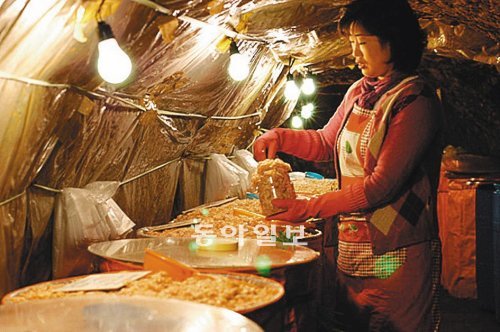 충남 홍성군 광천읍 일명 ‘독배마을’ 토굴에서 숙성된 새우젓 및 맛김 축제가 6∼9일 광천읍에서 열린다. 이기진 기자 doyoce@donga.com