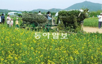 지난해 6월 인천 수도권매립지에서 열린 ‘드림파크 야생화 축제’. 동아일보DB