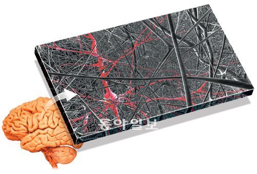 헨리 마크람 교수 연구팀이 슈퍼컴퓨터 ‘블루진’을 이용해 시뮬레이션한 뇌신경세포(뉴런) 영상. 뉴런은 자극을 받으면 미세한 전기신호를 전달한다는 점에 착안해 현재 바쁘게 일하는 세포일수록 붉은빛을 강하게 표현했다. 로잔공대 제공