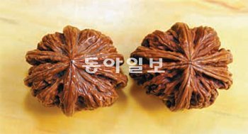 귀족호두박물관 제공