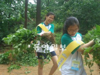 박정민 양(17·왼쪽)과 이소윤 양(18)이 서울 강남구 청담동 청담공원을 돌며 서양등골나물을 제거하고 있다. 이소윤 양 제공